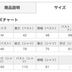 【美品】INGNI(イング) ゼブラ柄ニットベストMの画像