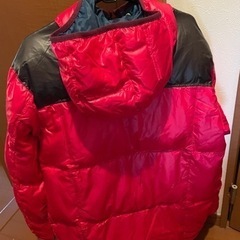 【お譲り先決定】NIKE メンズ　スポーツダウンジャケットの画像