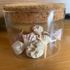 【今週1,000円】『貝殻🐚（瓶🫙付き）』の画像