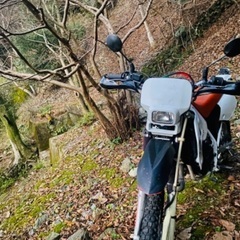 【交換・下取可】 ホンダ CRM50 すごく貴重になってきました‼️ 本格2ストローク オフロード✨　整備しました　絶好調‼️ 悪路もグイグイ行けます💨　63cc登録✨　カスタムも⭕️  この機会に格安にての画像