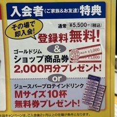 ゴールドジム札幌大通店　特典付き入会紹介します。の画像