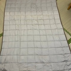 ハグラビ　ウェイトブランケットの画像