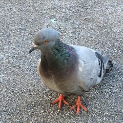 😊😊シフト自由日なので無理なく働けます❗日払OK❗😊😊 