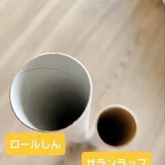 ロールしん 80本の画像