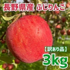 長野県産　ふじ　りんご 訳あり品