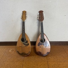 マンドリン　2本