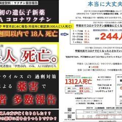  (郵送も可) 40A チラシ コロナワクチン後遺症 ワクチン死 緊急事態条項 40枚の画像