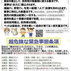  (郵送も可) 41B チラシ コロナワクチン 血栓症/免疫破壊と癌 緊急事態条項 40枚の画像