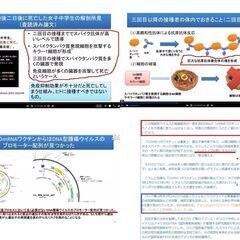  (郵送も可) 41B チラシ コロナワクチン 血栓症/免疫破壊と癌 緊急事態条項 40枚の画像