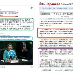  (郵送も可) 42 コロナワクチンチラシA+B ワクチン死 免疫破壊と癌 緊急事態条項 40枚の画像