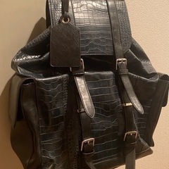 ZARA クロコダイル リュック/バックパック