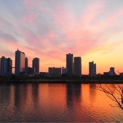 12/17 多摩川で夕陽前後にゆるーく写真撮りながらお散歩したい - 大田区
