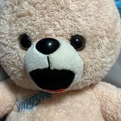 クマのぬいぐるみの画像
