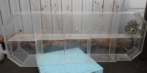中古　アクリルケース