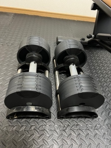 フレックスベル   20kg × 2個セット&トレーニングベンチ