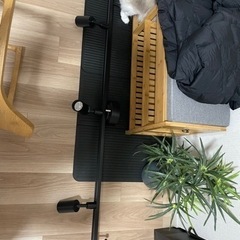 スポットライト