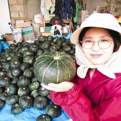 ホクホク南瓜の収穫アルバイト募集！の画像