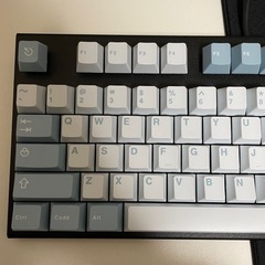 REALFORSE gx1 us配列 押下圧30gの画像