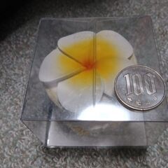 ハイビスカスピアスと小物入れ(お値引き致しました)の画像