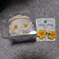 ハイビスカスピアスと小物入れ(お値引き致しました)