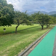 MATUランニング