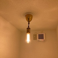 ペンダントライト(電球別)