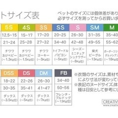 ペット服　SS　3の画像