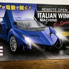 リモートオープン　イタリアンウィング