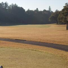 ラウンド仲間・ゴルフ練習仲間募集してます🏌‍♂⛳ - 守谷市