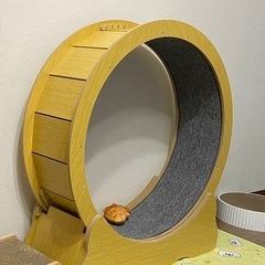 キャットホイール