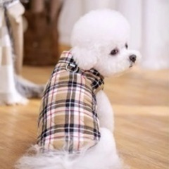 ペット服 ダウンジャケット(サイズ記載しました✨)の画像