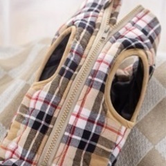 ペット服 ダウンジャケット(サイズ記載しました✨)の画像