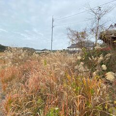 【契約者さん、決まりました！】（「今は」廃墟ですシリーズ）岡山県久米郡美咲町錦織・修繕必須ですが倉庫＆巨大な庭付き平屋の戸建て物件！！ 倉庫＆事務所として使うのもあり！？ - 不動産