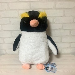 イワトビペンギンの中古が安い！激安で譲ります・無料であげます