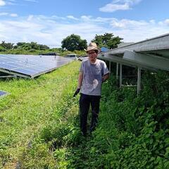 太陽光のケーブルを引っ張る作業員、急募です‼️‼️の画像