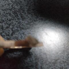 GUCCI　ネックレスの画像