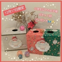 本日！入場無料！プレゼントいっぱい🤍🐾猫の譲渡会