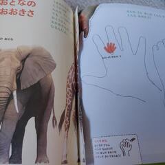 5さいになるほんの画像