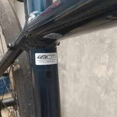 トレック ドマーネ AL2 の画像