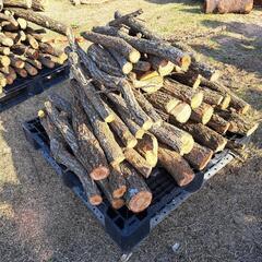伐採木、薪①　15円/1kg の画像
