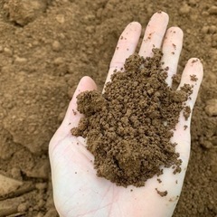赤土　ガーデニング   植木　お庭　家庭菜園　植栽　お花　畑　田んぼ　0.５㎥〜の画像