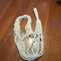 観葉植物　ハンギングと鉢の画像