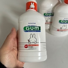 ガム・デンタルリンス 子供用フルーツミント味の画像