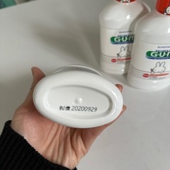 ガム・デンタルリンス 子供用フルーツミント味の画像