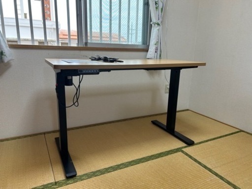 交渉中　FLEXISPOT 電動式スタンディングデスク(幅120×奥行60,メモリー機能付き) 昇降デスク 高さ調節デスク