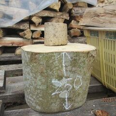 セット！広葉樹MIX3かごと針葉樹杉玉1かご、薪ストーブ、キャンプ薪（丸太玉切りサービス、コブシとキンモクセイ）の画像