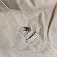 アーバンリサーチ ショートパンツ　ベージュの画像