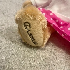 くまのぬいぐるみ🧸🎀の画像