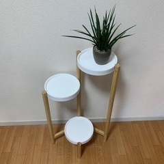 花台の画像