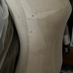 トルソーあげますの画像
